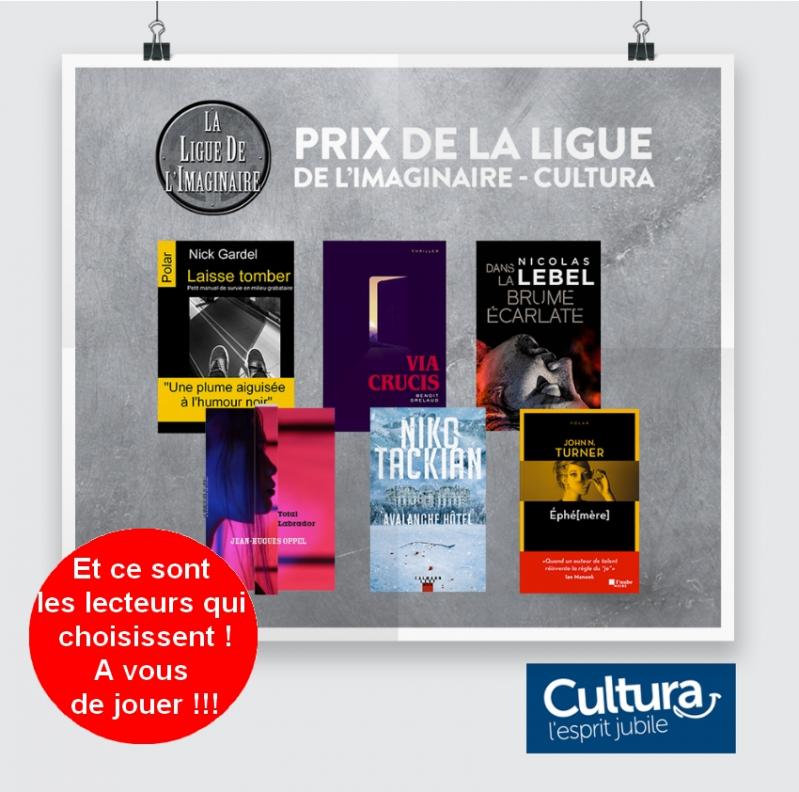 Laisse tomber prix de la ligue de l imaginaire